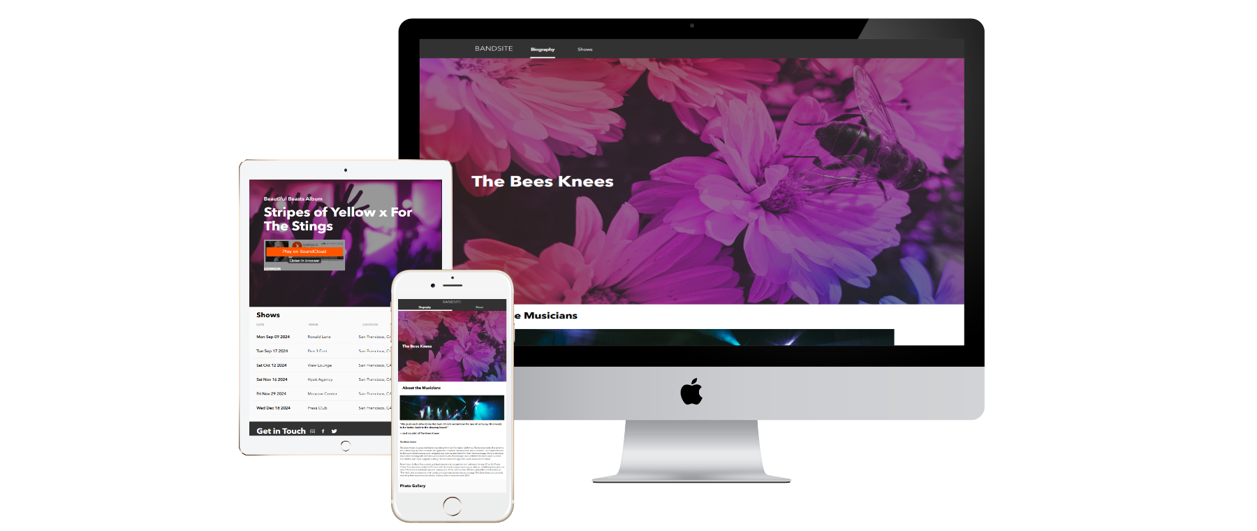 BandSite project preview